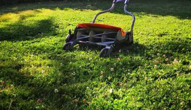 why does my lawn mower keep dying