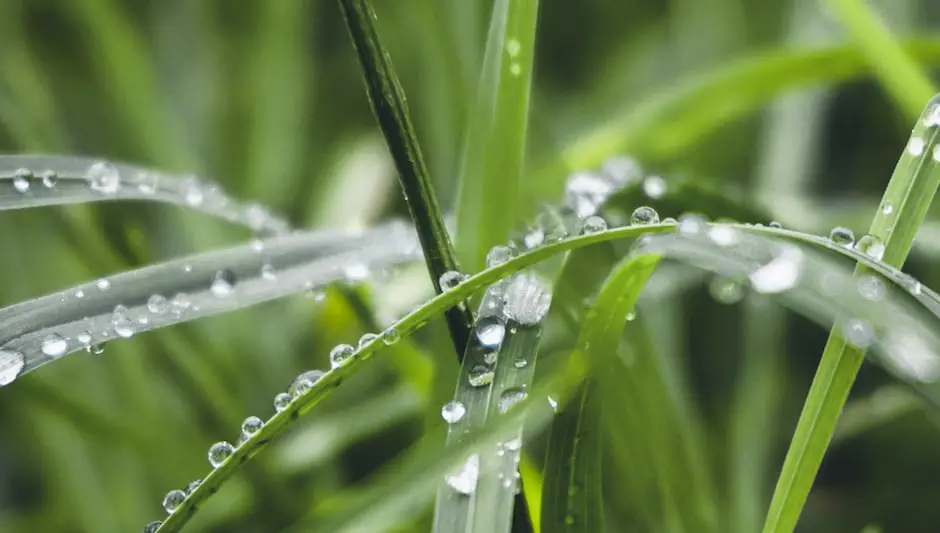 can you mow the lawn in the rain