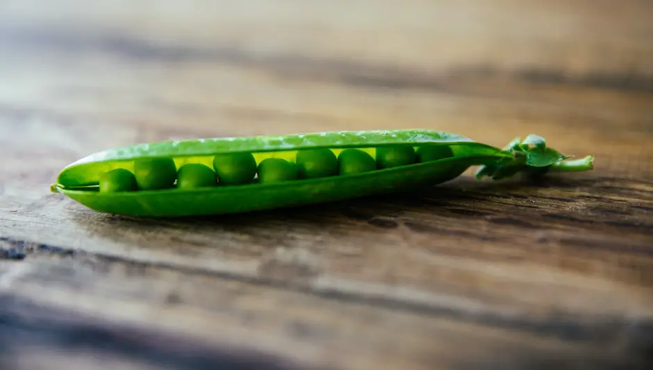 how are harvest snaps made