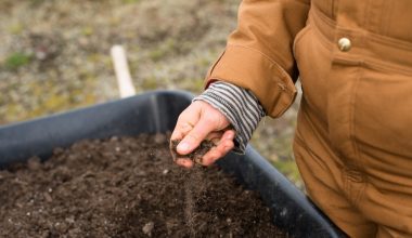 can you use a tiller to plant grass seed