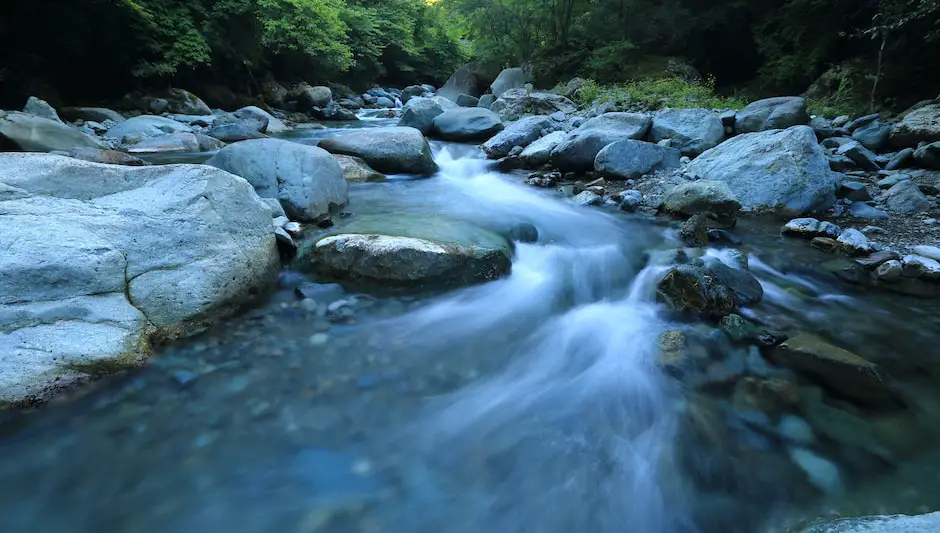 what does the landscape of caracas include