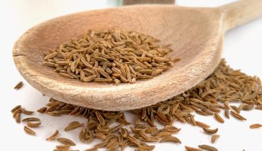 what is caraway seed used for