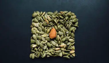 can you eat pumpkin seed shells