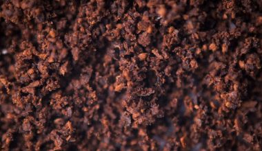 can coffee grounds be used as plant food