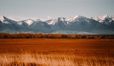 what planting zone is missoula mt