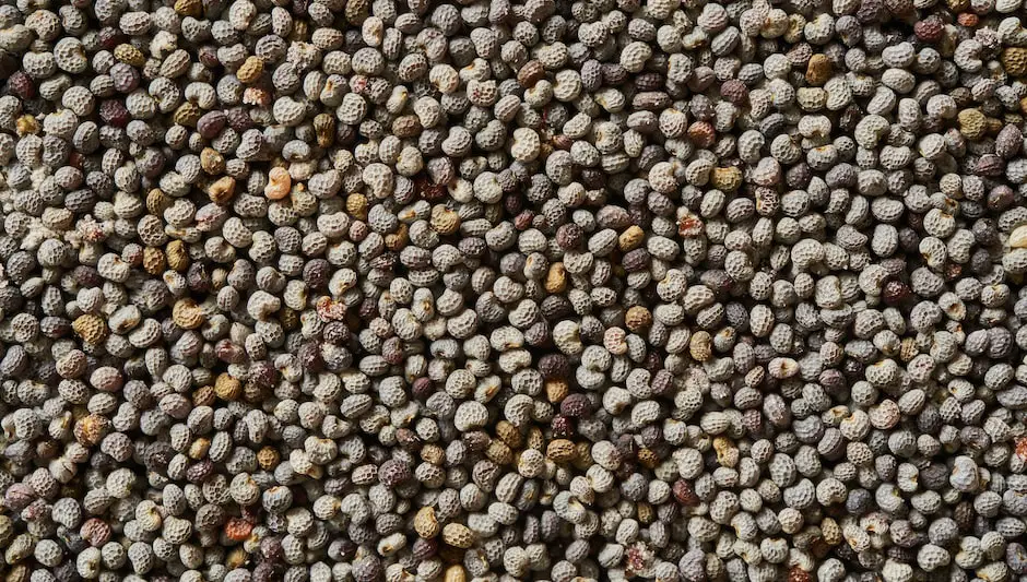 how to grow mustard seed sprouts