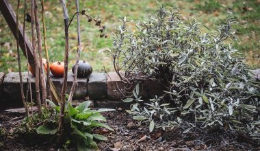 how long to compost sheep manure