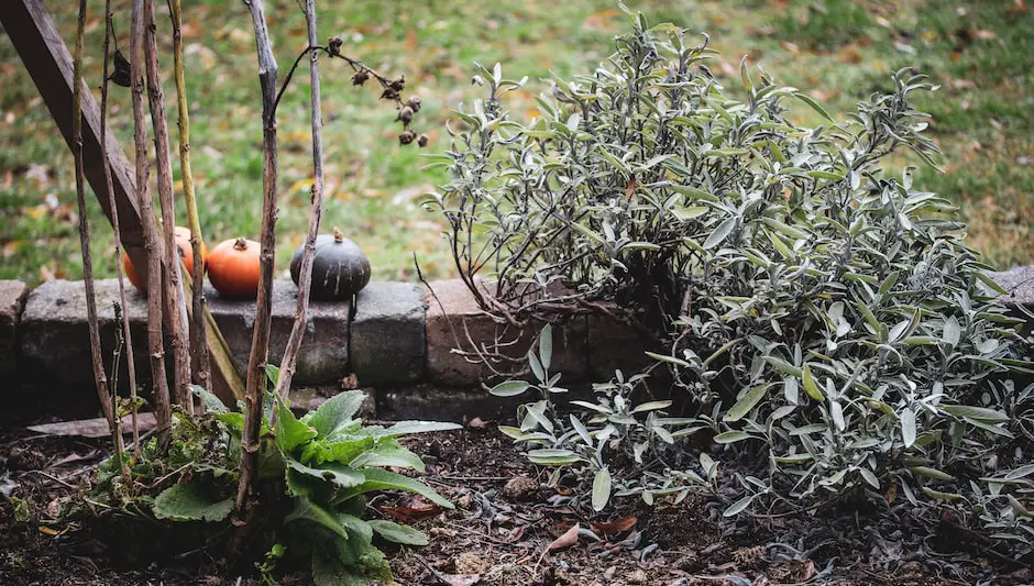 how long to compost sheep manure