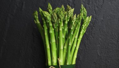 how to grow asparagus from seed indoors