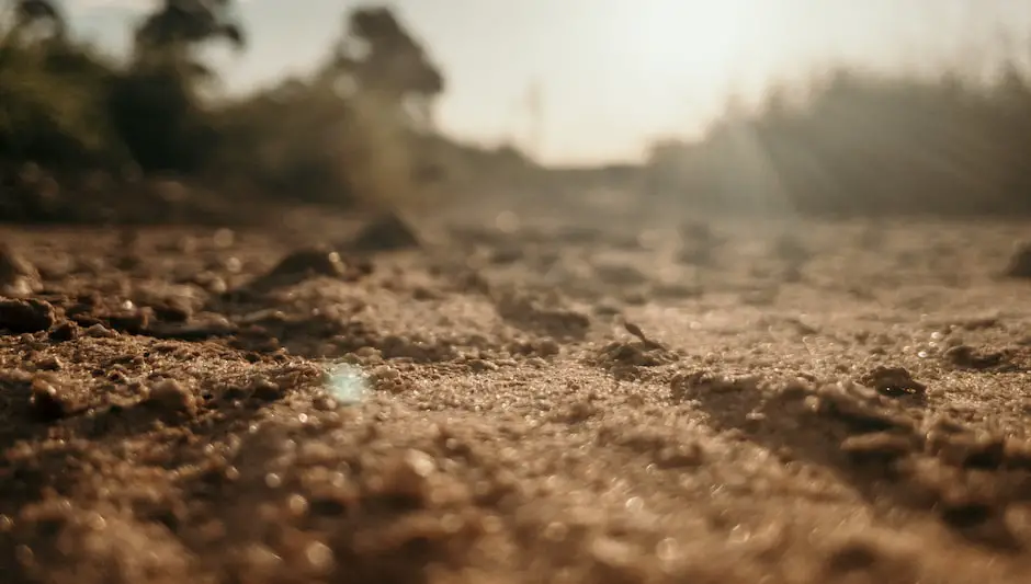 how to till soil by hand