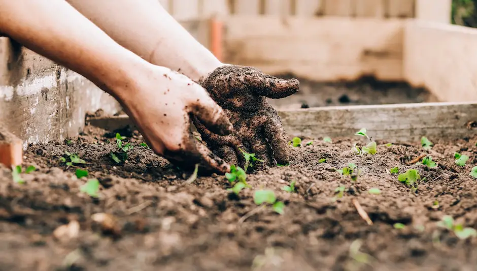 what is the difference between potting soil and garden soil