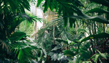 how warm is a greenhouse in winter