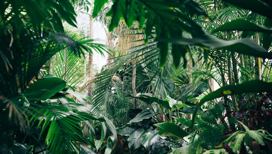 how warm is a greenhouse in winter