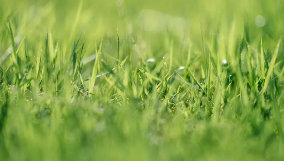 how to spread manure on lawn