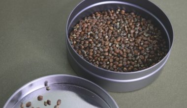 how to make feminized seeds