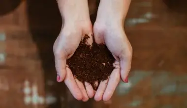 how to make compost break down faster