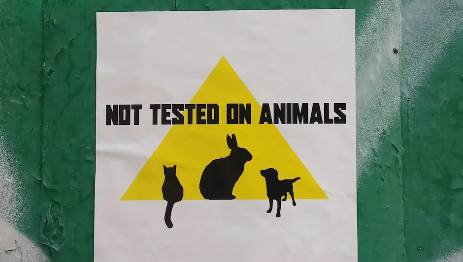 How Are Aquatic Plants And Animals Able To Survive?