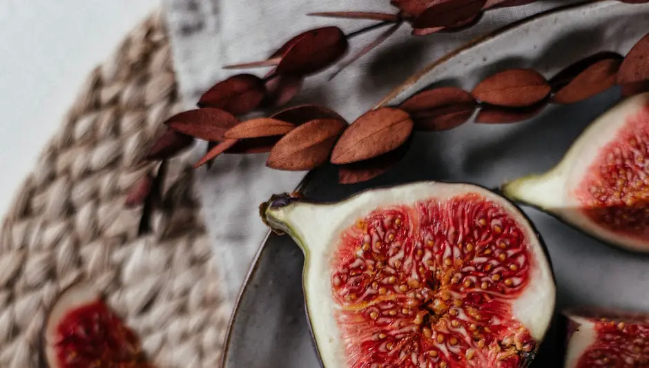 how to grow a fig tree from a cutting