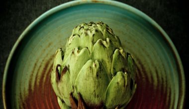 when are artichokes ready to harvest