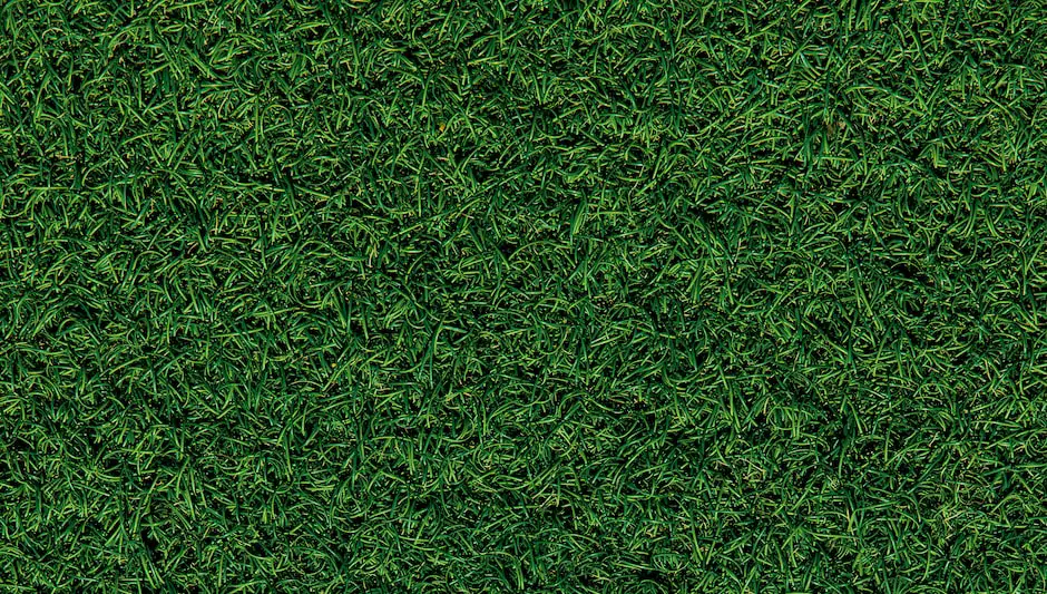 how to thicken bermuda grass