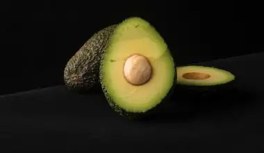 how do you sprout an avocado seed