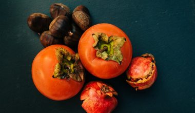 do fuyu persimmons need a pollinator