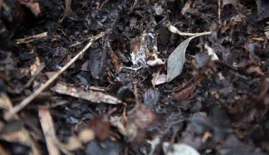 how to make a mulch bed