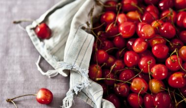 what fruit trees grow in salt lake city