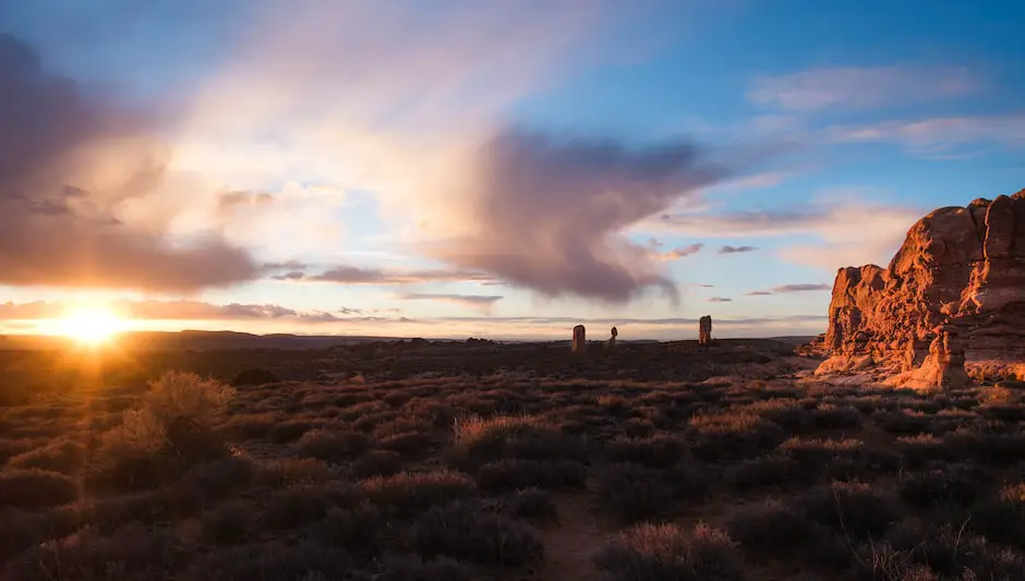 when did landscape photography begin