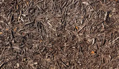 how to put mulch down in flower bed