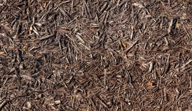 how to put mulch down in flower bed