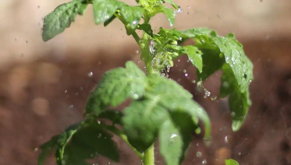 how to build a vertical hydroponic garden