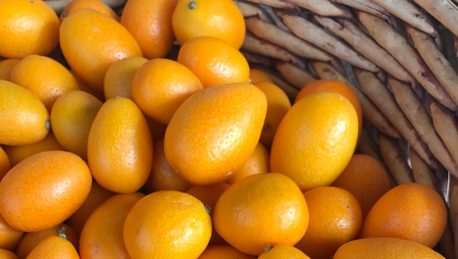 how tall does a kumquat tree grow
