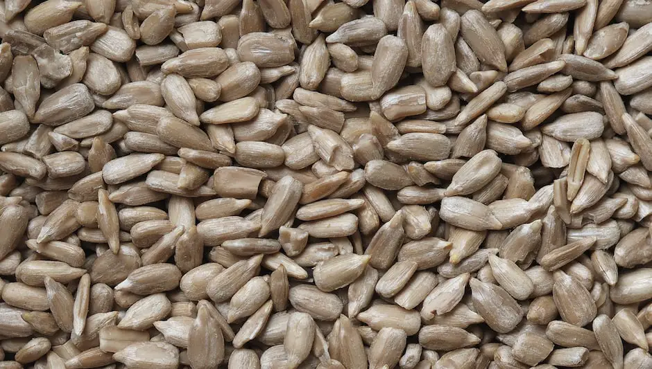what temperature to cook pumpkin seeds