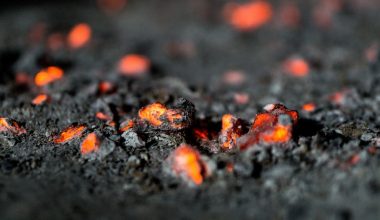 are wood ashes good for garden soil