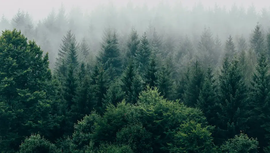 what trees are pollinating right now