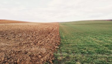 how much compost to add to lawn