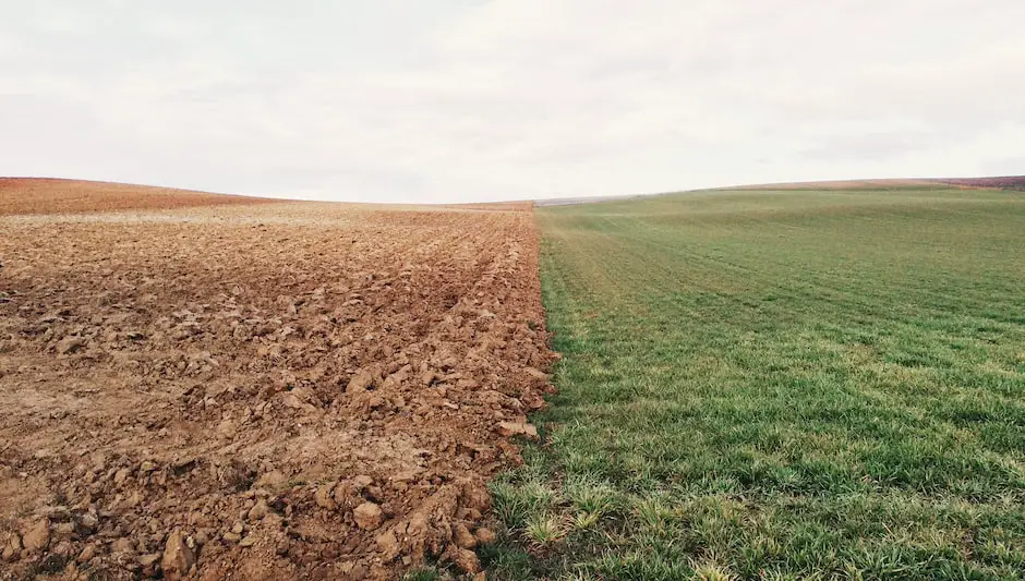 how much compost per square foot