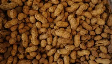 can you put peanut shells in compost