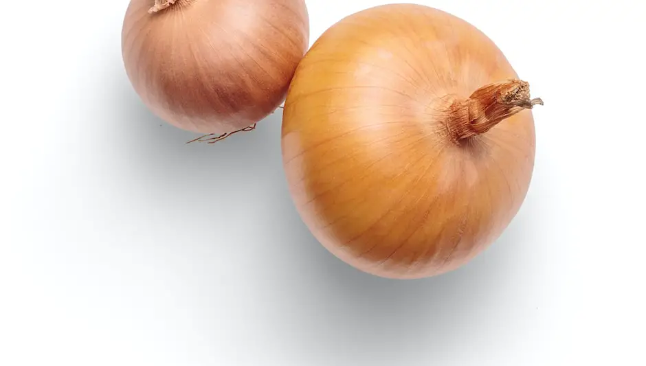 how do you know when onions are ready to harvest