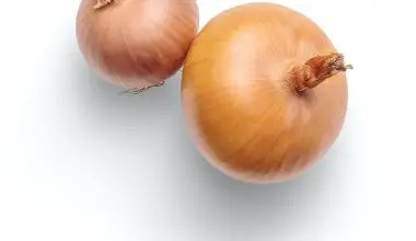how to grow onion plant from onion