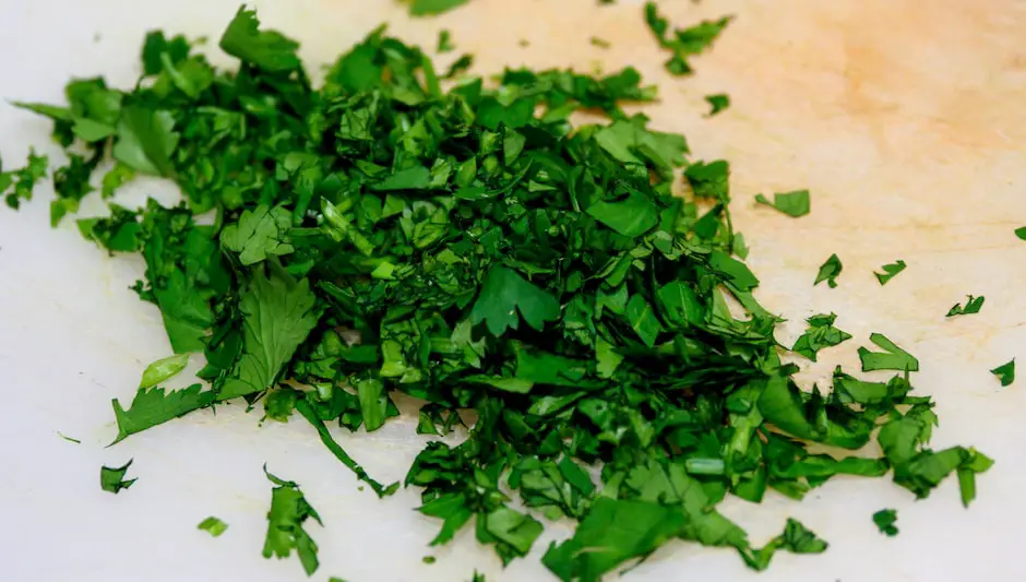 how to grow parsley hydroponically
