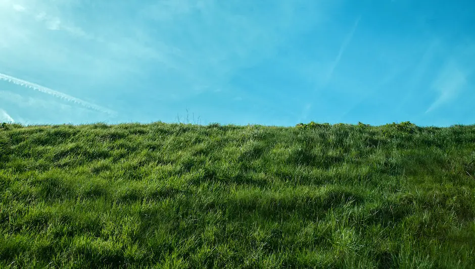 how to make grass dark green