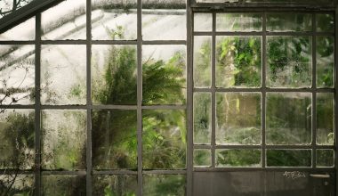 how do you make a greenhouse out of plastic bottles