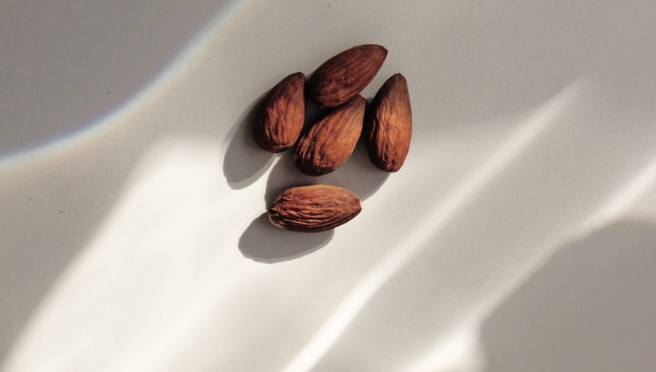 how to grow almond plant at home