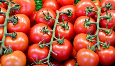 how to seed tomatoes for sauce