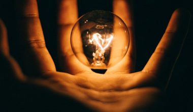 what led lights for growing