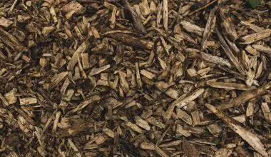 can i use wood mulch in my vegetable garden