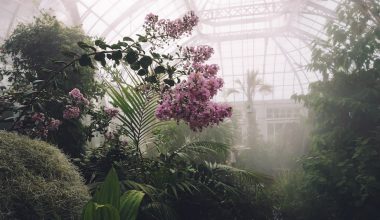 will a plastic greenhouse protect from frost