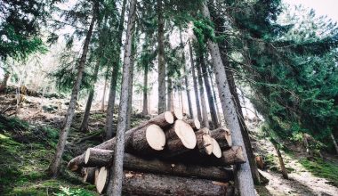 how to secure landscape timbers together